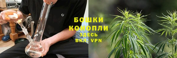 каннабис Бородино