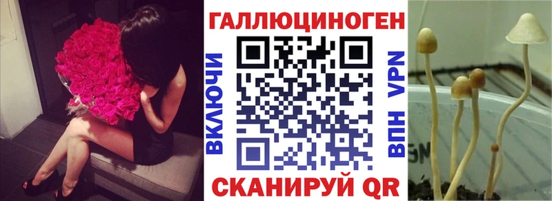 Псилоцибиновые грибы Psilocybe  Новохопёрск 